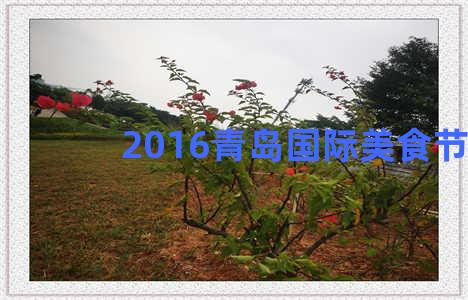 2016青岛国际美食节