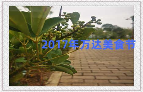 2017年万达美食节