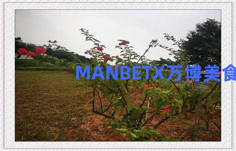 MANBETX万博美食