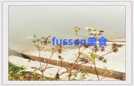 fussen美食